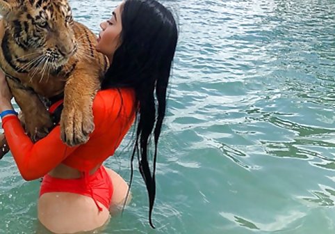 ashleykan Jerk Off Challenge 3 sex پستان